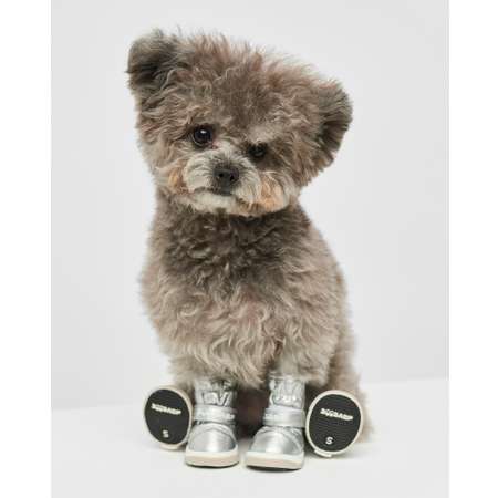 Обувь для собак купить в интернет-магазине недорого, цена с доставкой в  Москве