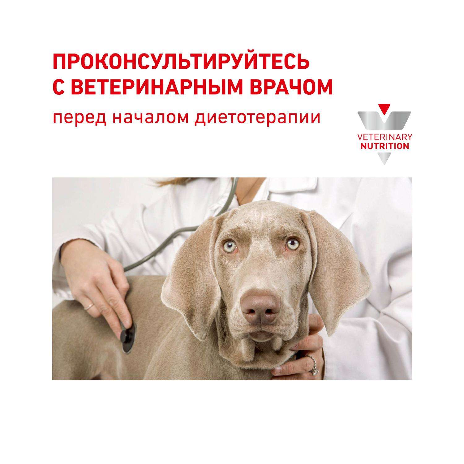 Корм для собак ROYAL CANIN Veterinary Diet Mobility C2P+ MC25 2кг - фото 9