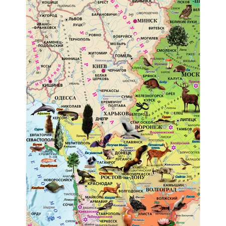 Карта настенная Атлас Принт Россия. Природные зоны животные и растения 1.43х1.02 м