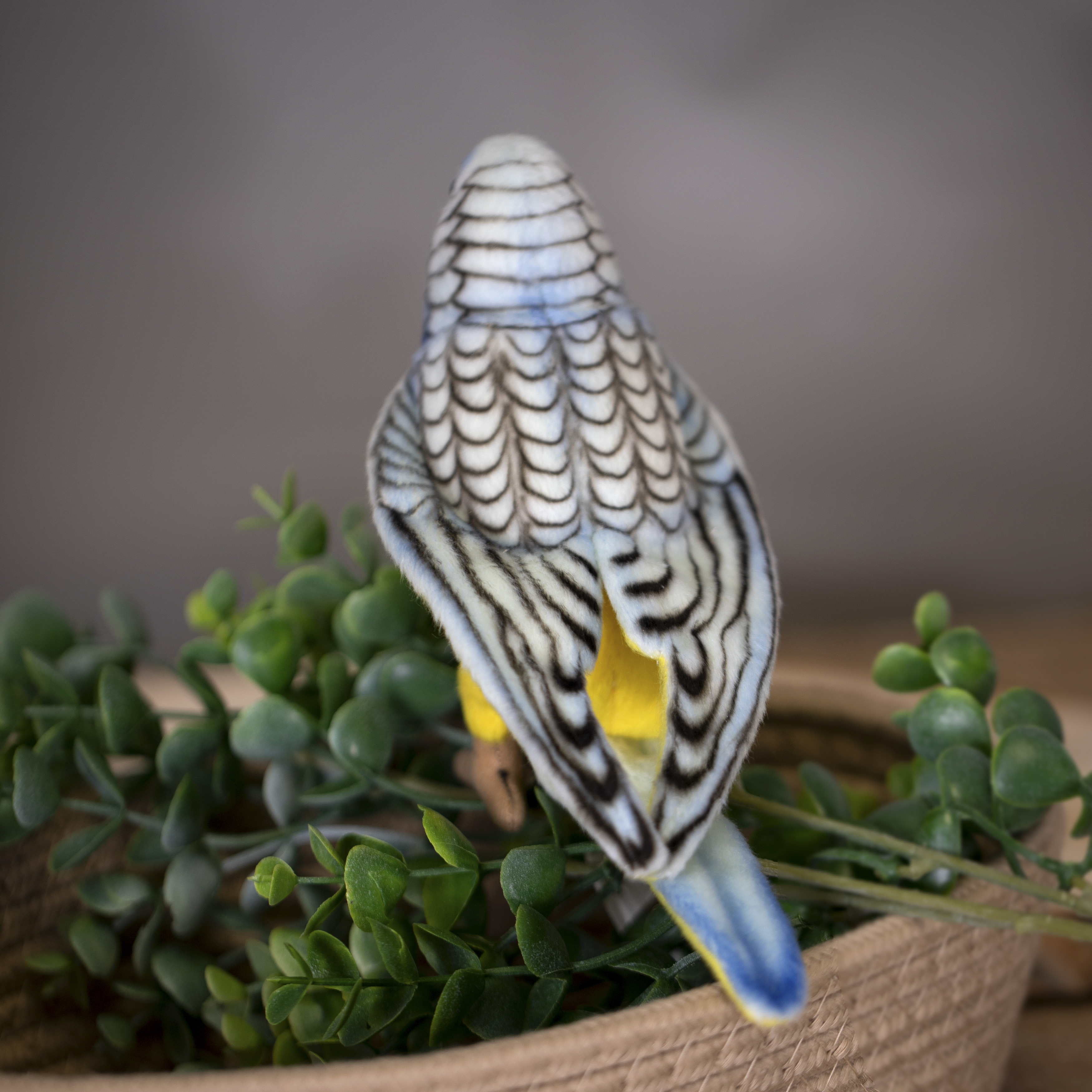 Реалистичная игрушка HANSA Попугай волнистый голубой 15 см - фото 14