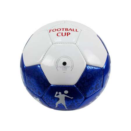 Футбольный мяч 1TOY 5 размер
