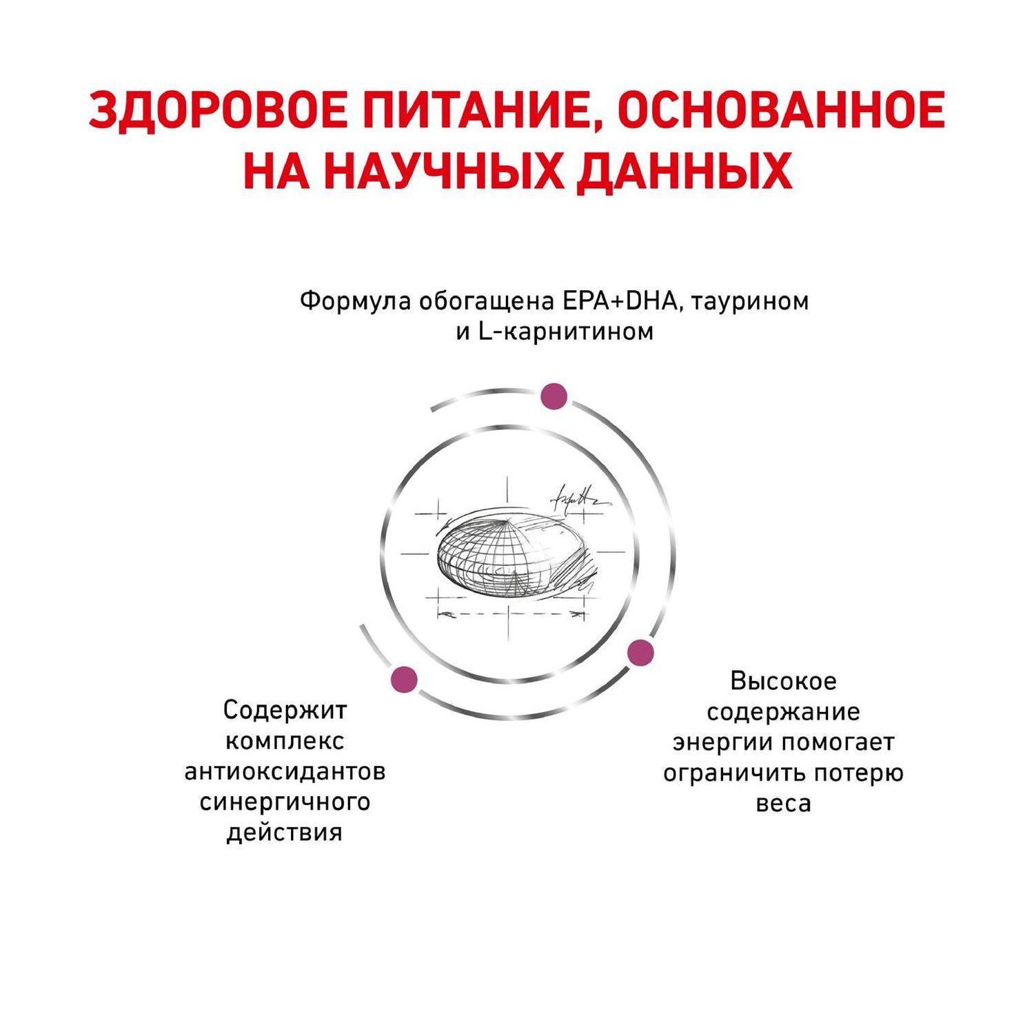 Корм для собак ROYAL CANIN Cardiac EC26 при сердечной недостаточности 2кг - фото 4