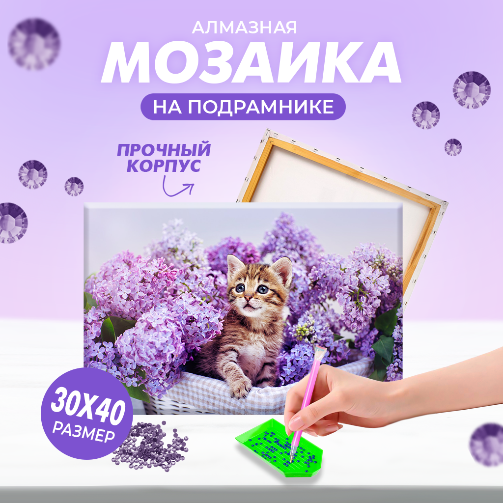 Алмазная мозаика Solmax Лавандовый котенок на подрамнике 30х40см - фото 1