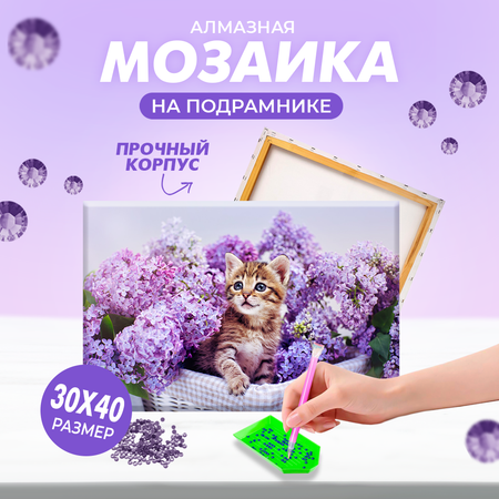 Алмазная мозаика Solmax Лавандовый котенок на подрамнике 30х40см