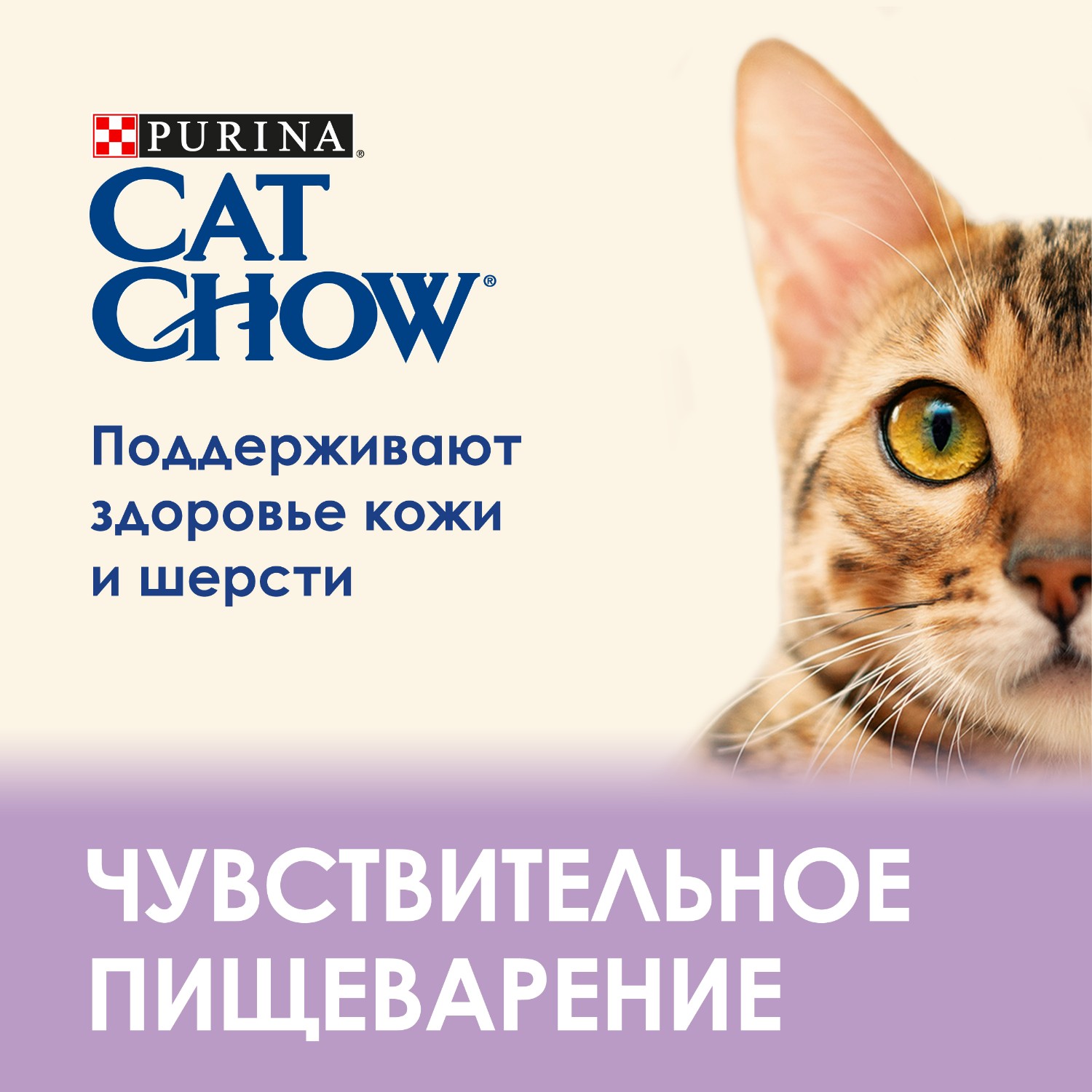 Корм для кошек Cat Chow взрослых чувствительное пищеварение лосось-кабачок пауч 85г - фото 3