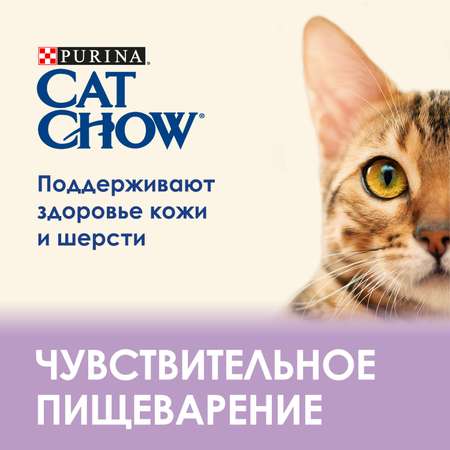 Корм для кошек Cat Chow взрослых чувствительное пищеварение лосось-кабачок пауч 85г