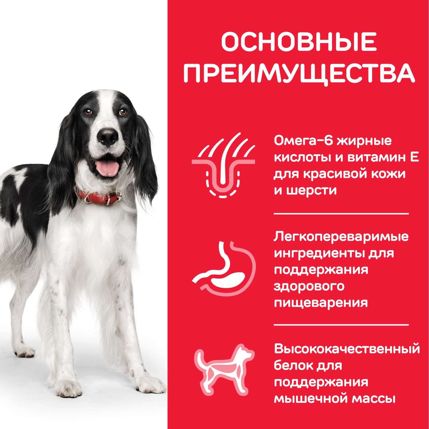Корм для собак HILLS 2.5кг для средних пород для поддержания иммунитета с тунцом и рисом сухой - фото 5