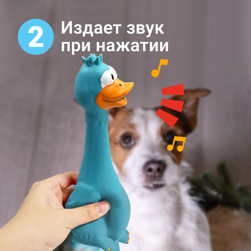 Игрушка для собак ZDK курица с пищалкой ZooWell голубая - фото 5