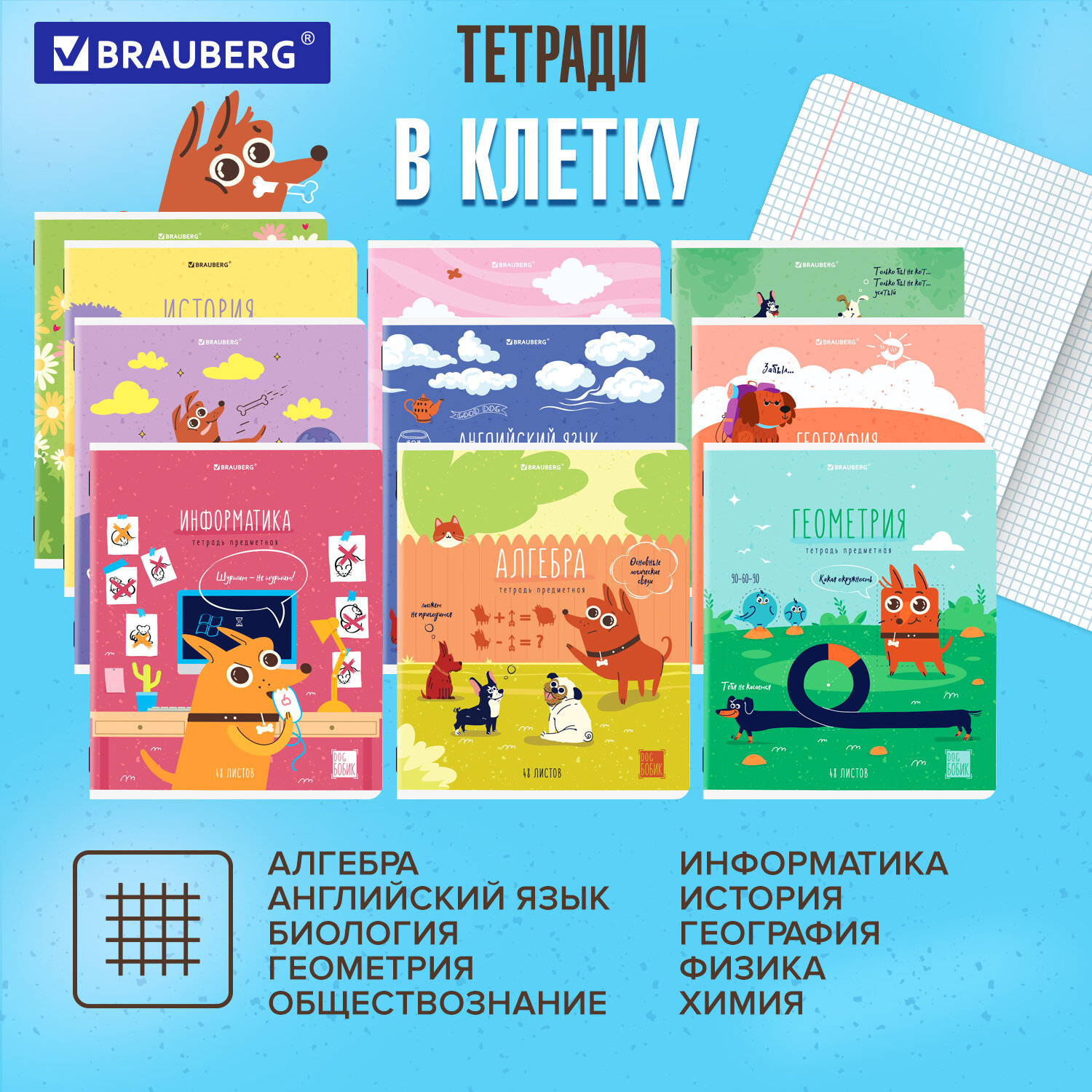 Тетради предметные Brauberg набор 48 листов в клетку и линейку 12 штук - фото 3