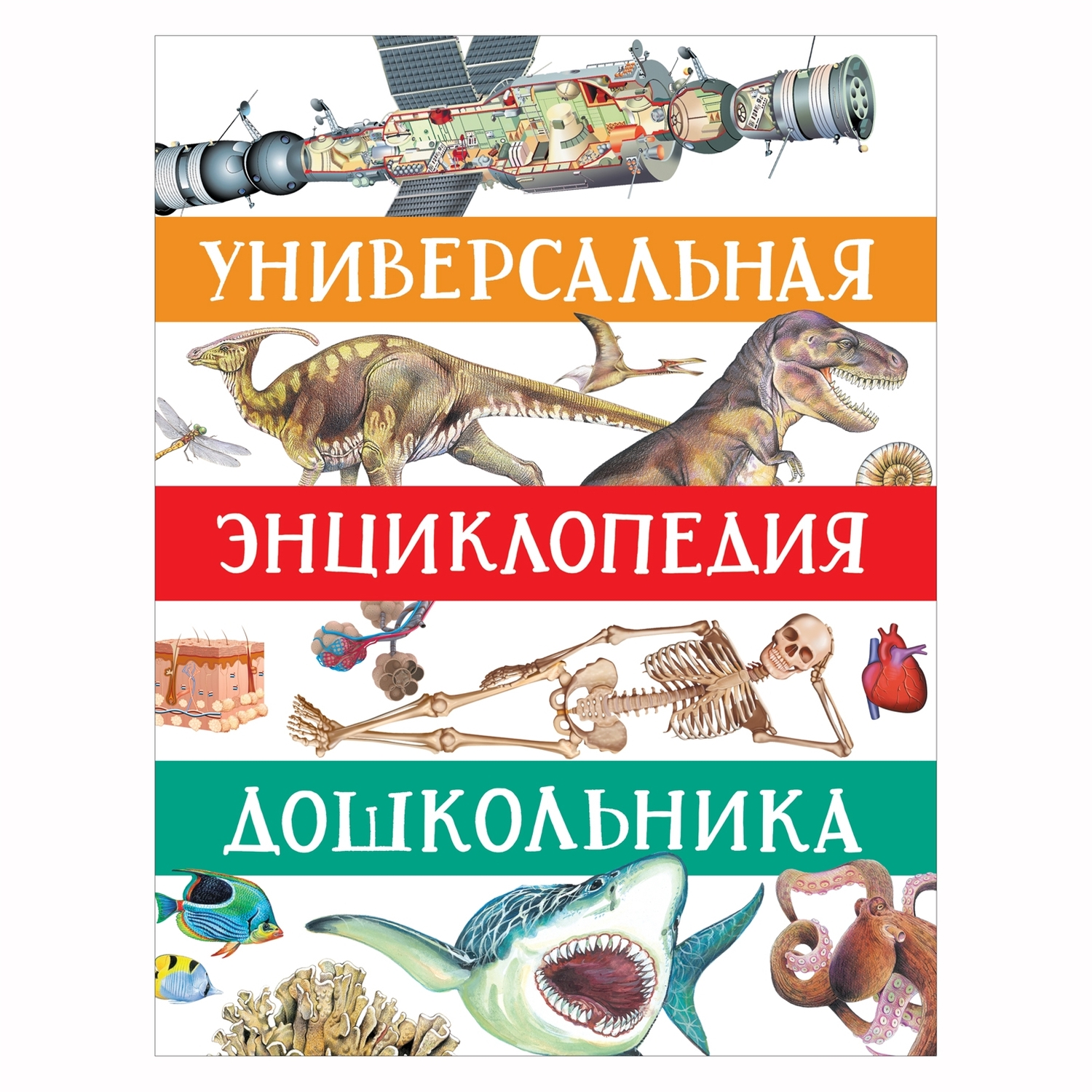 Книга Росмэн Универсальная энциклопедия дошкольника Сборник - фото 1