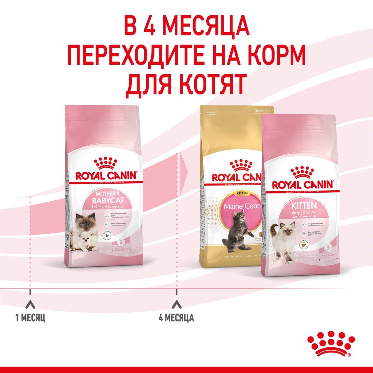 Сухой корм для кошек ROYAL CANIN 0.4 кг (полнорационный) - фото 3