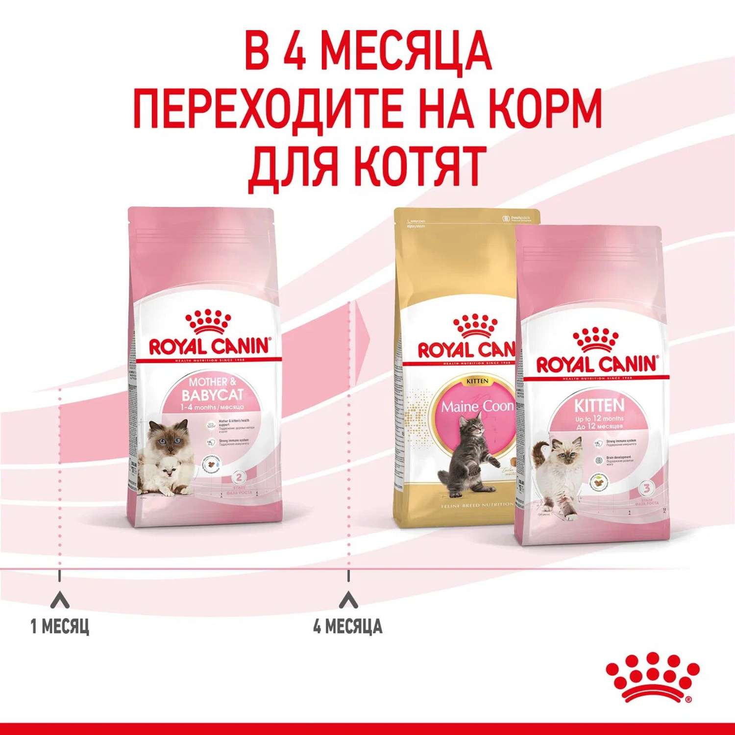 Корм для котят Royal Canin Mother and Babycat 400г - фото 3