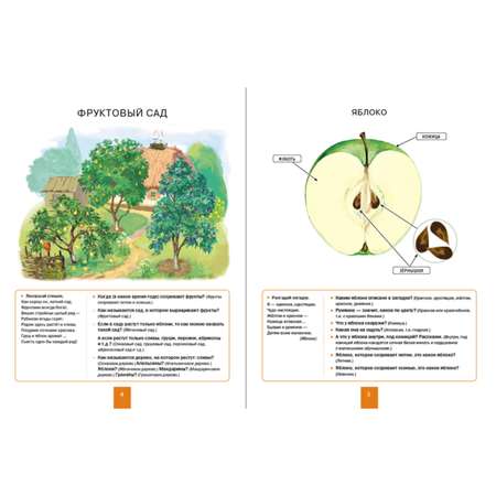 Набор книг Школьная Книга Развитие речи через познание окружающего мира. 4 шт