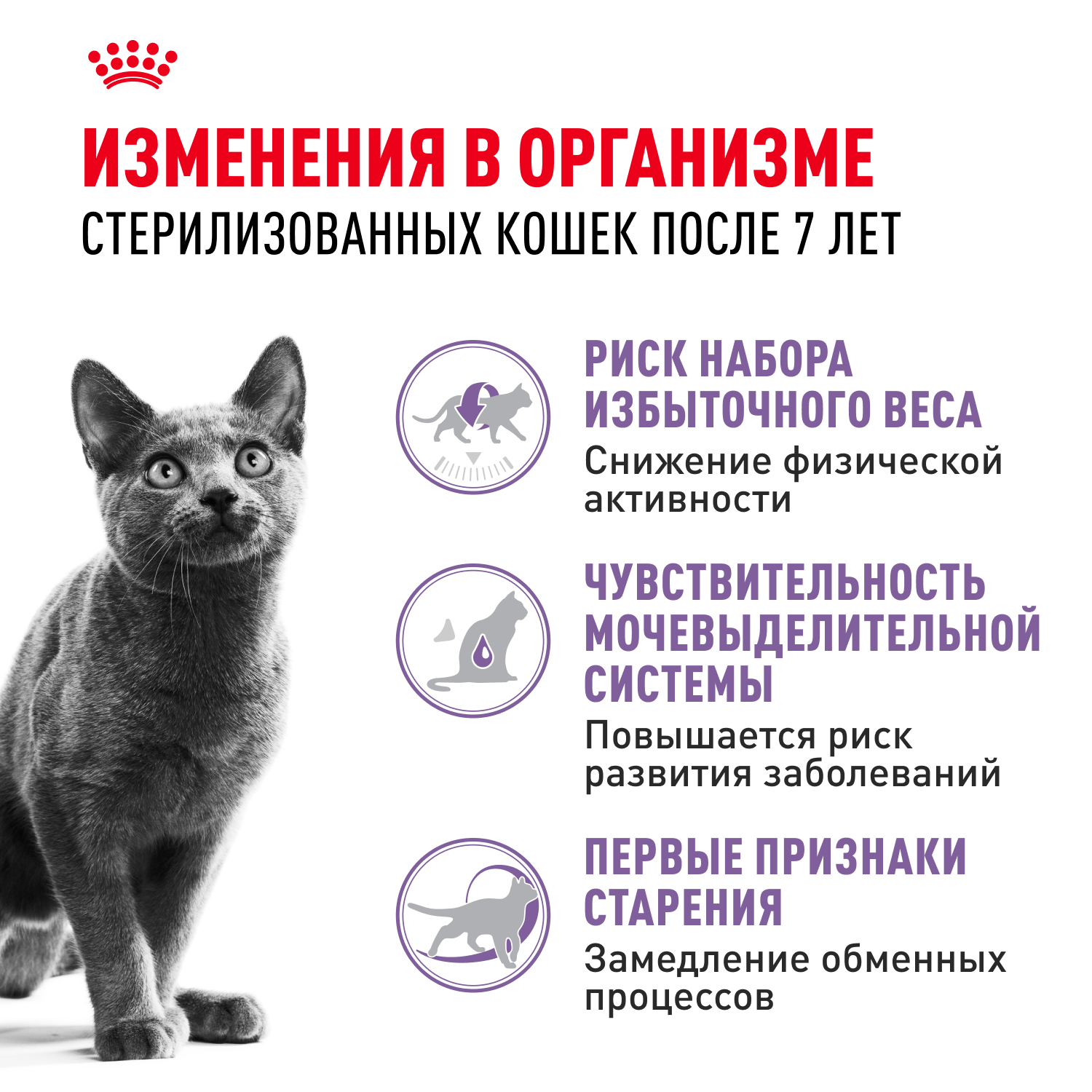 Корм сухой для кошек ROYAL CANIN Sterilised 400г пожилых стерилизованных - фото 6