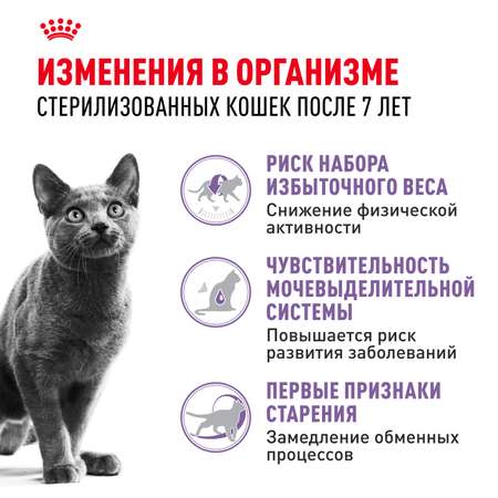 Корм сухой для кошек ROYAL CANIN Sterilised 400г пожилых стерилизованных