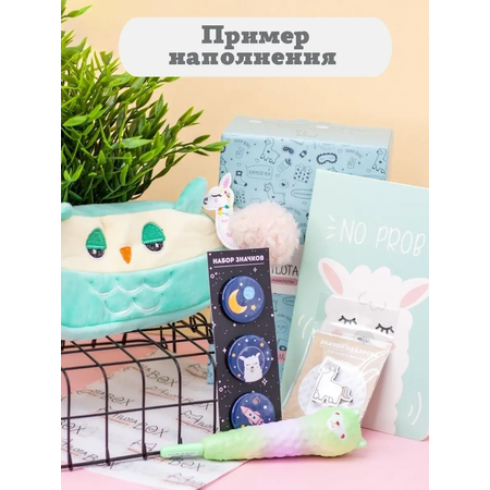 Подарочный бокс для девочки iLikeGift Milota Box mini лама