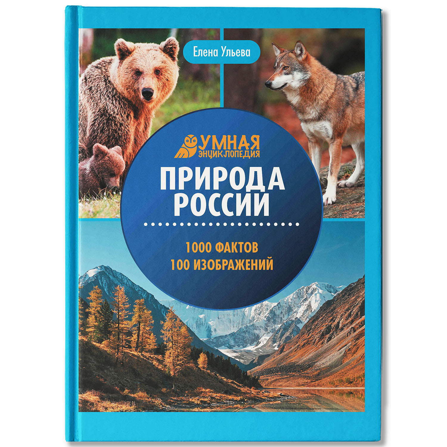 Книга Феникс Природа России : Энциклопедия для детей - фото 1