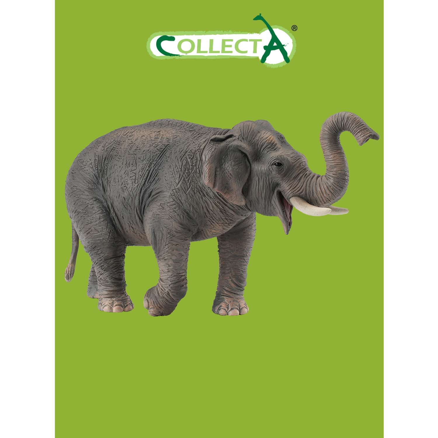 Фигурка животного Collecta Азиатский слон - фото 1
