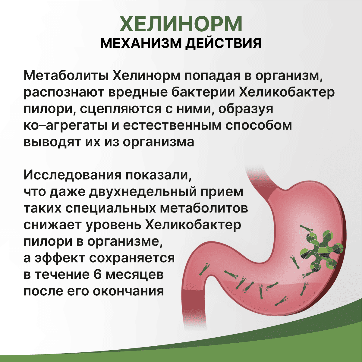 Хеликобактериоз (хеликобактерная инфекция) у детей