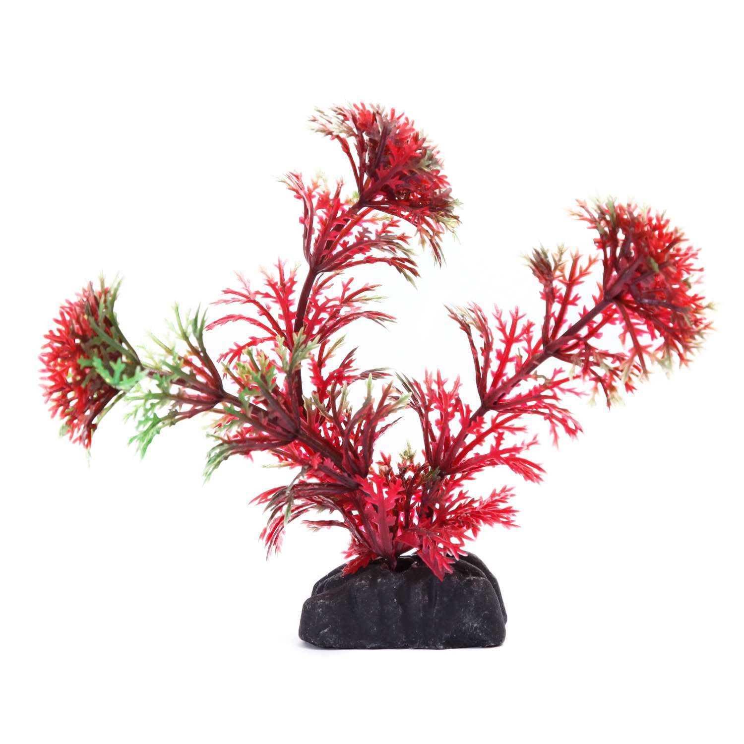 Растение PennPlax Cabomba с грузом 9см Красно-Зеленое PPBT21 - фото 1