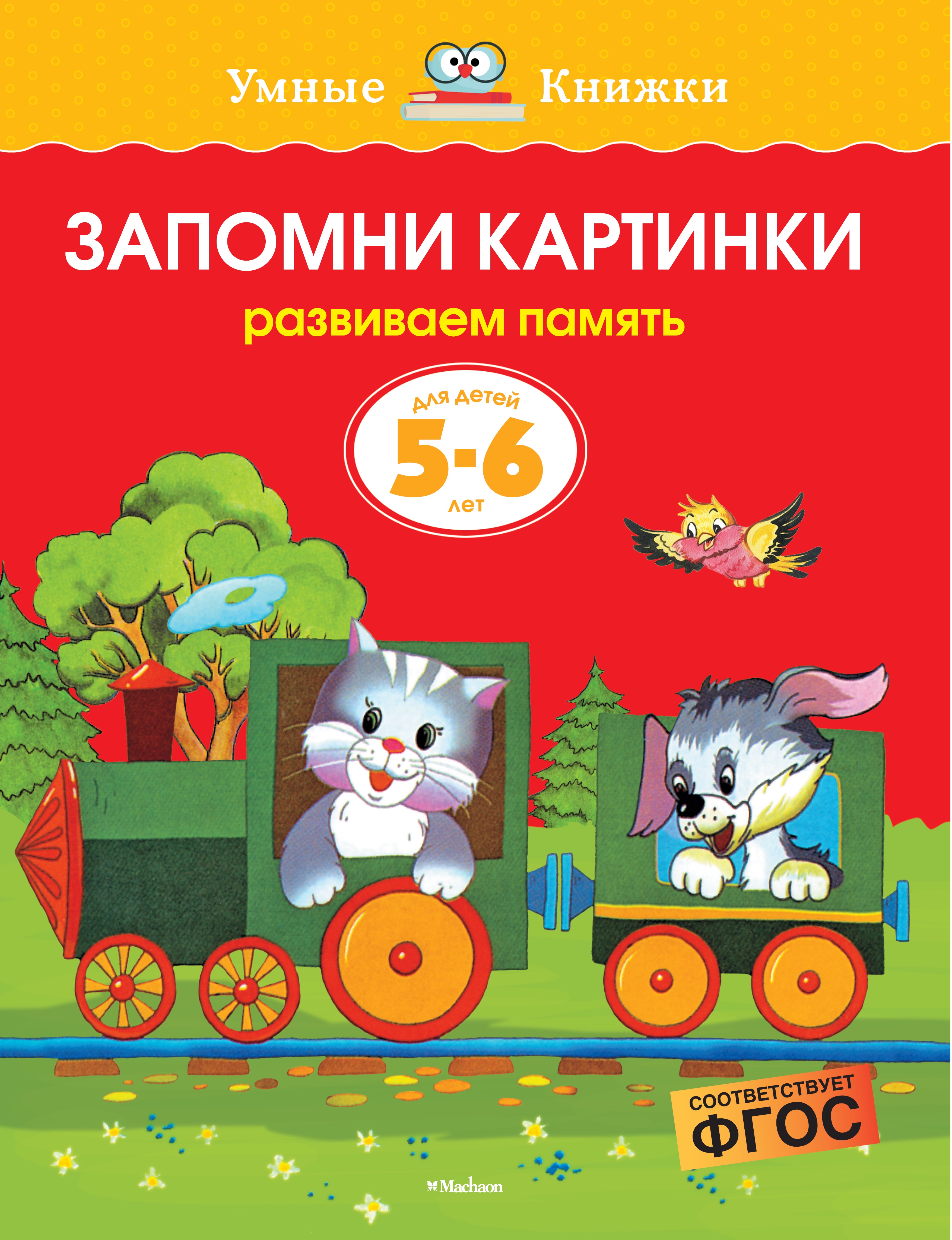 Книга Махаон Запомни картинки Развиваем память 5-6лет - фото 1