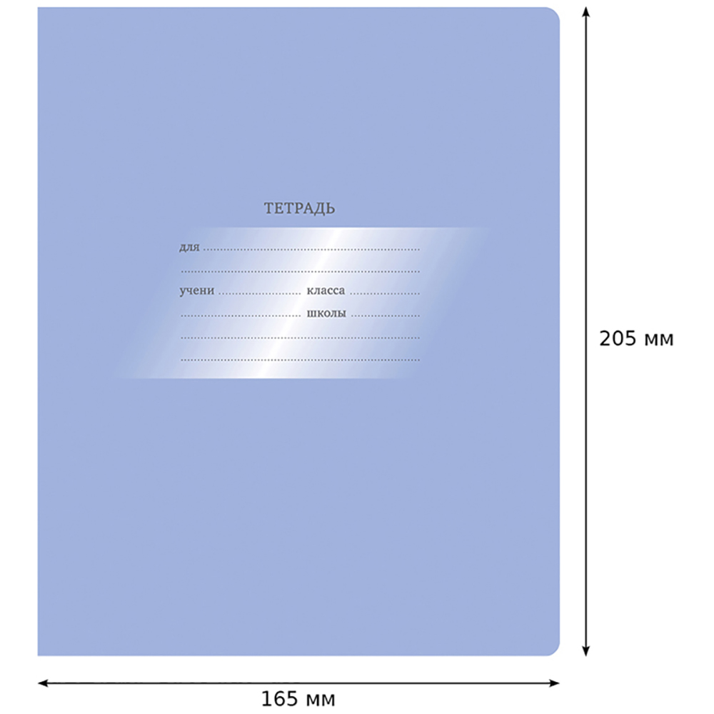 Тетрадь BG 12 л косая линия Первоклассная светло-сиреневая 16 шт - фото 3