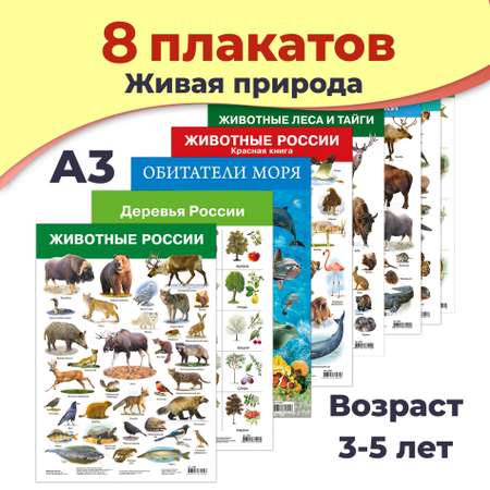 Набор обучающих плакатов Дрофа-Медиа Живая природа 8 видов 3964