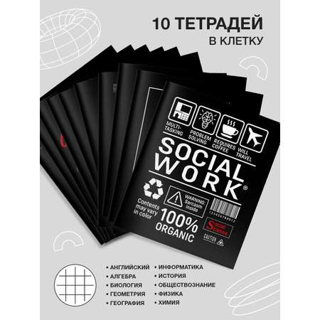 Комплект тетрадей SCHOOLFORMAT предметных школьных 48 листов А5 12 штук