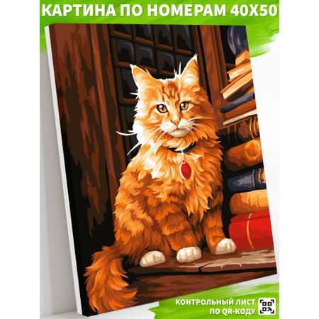 Картина по номерам Art on Canvas холст на подрамнике 40х50 см Мудрый кот