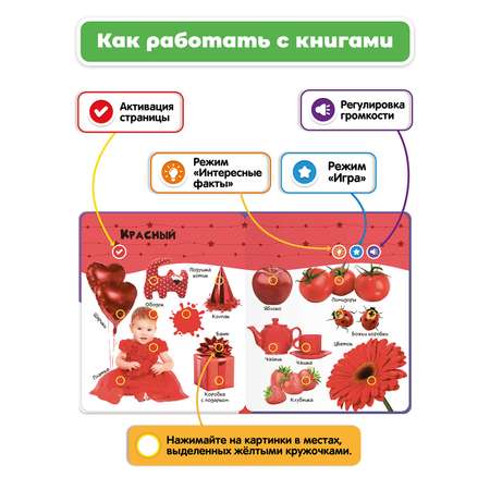 Комплект говорящих книжек BertToys Нажималки: Я и Мир Вокруг + Цвета