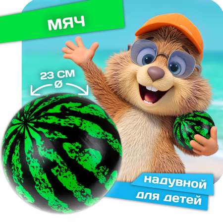 Мяч 1TOY Арбуз 15см