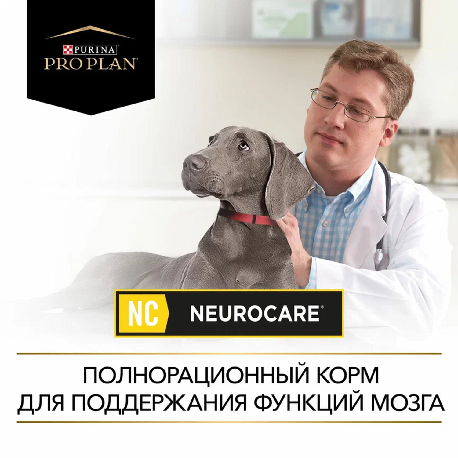 Сухой корм для собак Purina Pro Plan Veterinary diets 3 кг птица (поддерживающие функции мозга, лечебный) - фото 13