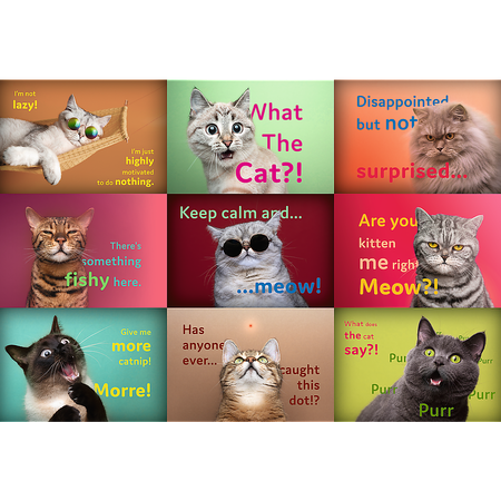 Пазл 1500 деталей Trefl Смешные портреты кошек