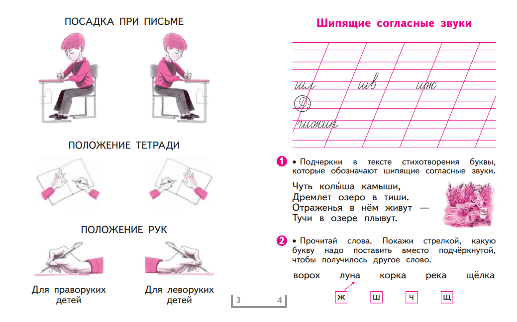 Рабочая тетрадь Просвещение Русский язык 1 класс Часть 2 - фото 3