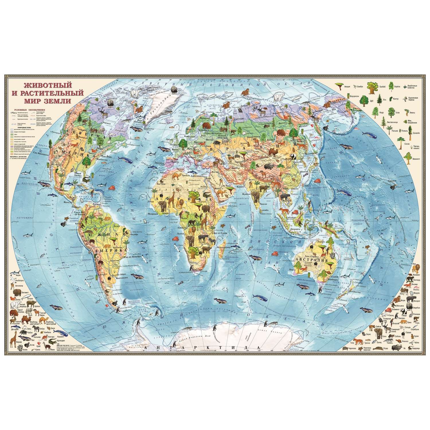 Карта мира Ди Эм Би обитатели Земли настольная двухсторонняя капсулированная - фото 1