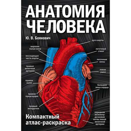 Книга Эксмо Анатомия человека компактный атлас-раскраска