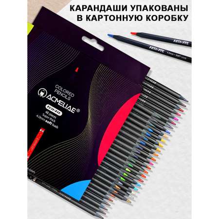 Набор цветных карандашей ACMELIAE Blackwood Artmate 48 цветов в картонном футляре