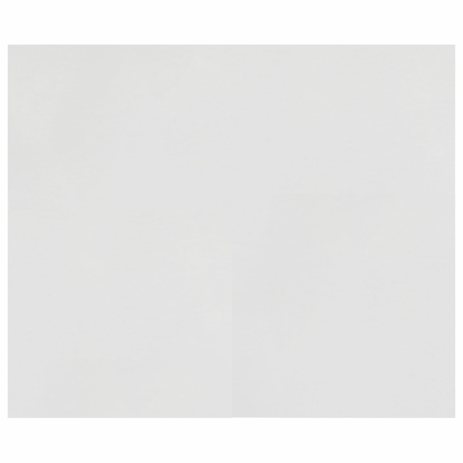 Холст на картоне Brauberg для рисования акварельный 25х35 см - фото 7