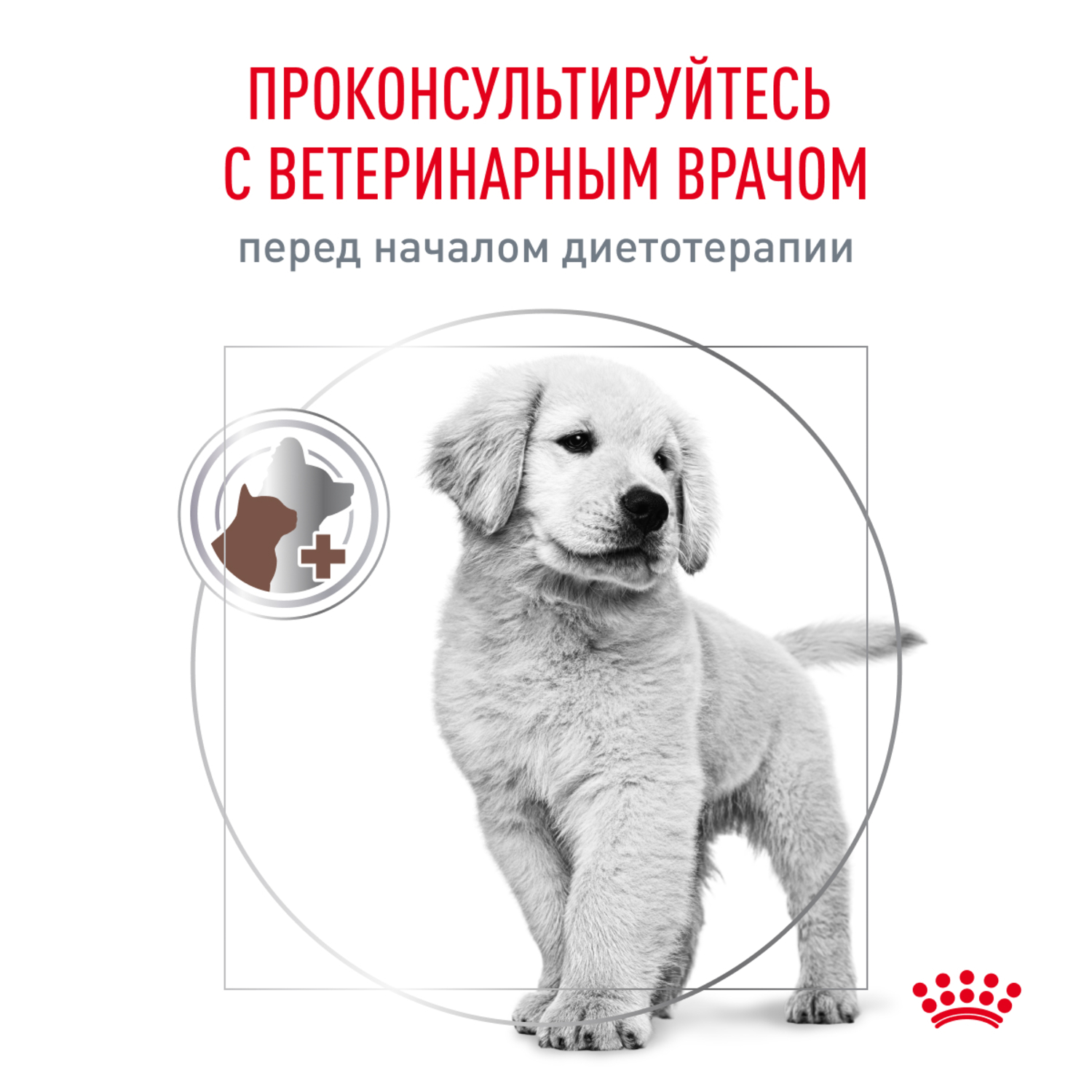 Корм для щенков ROYAL CANIN Gastro Intestinal Junior GIJ29 при нарушении пищеварения 2.5кг - фото 9