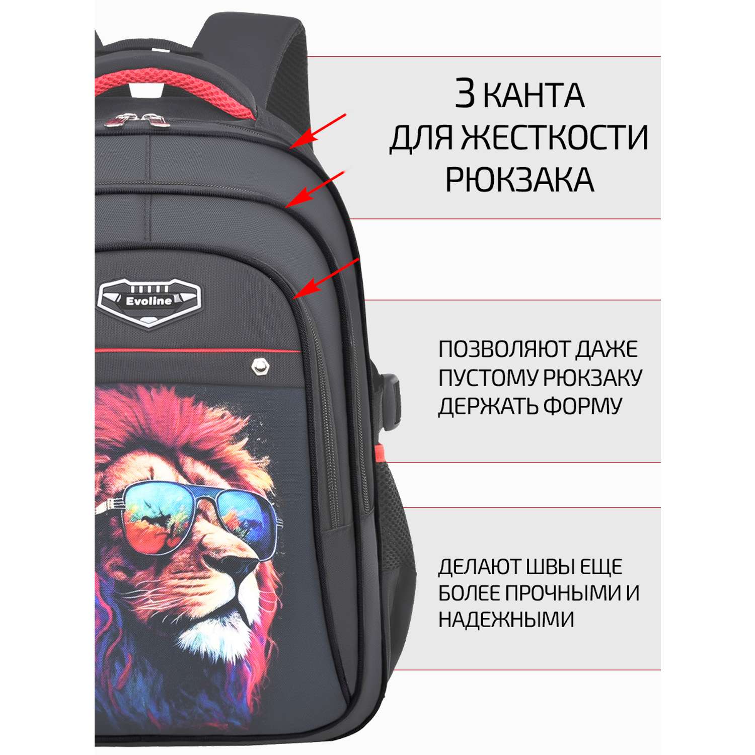 Рюкзак школьный Evoline Черный лев в очках 41 см спинка EVO-LION - фото 5