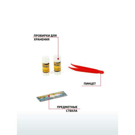 Микроскоп Veld Co детский 1200х с аксессуарами 5 предметов