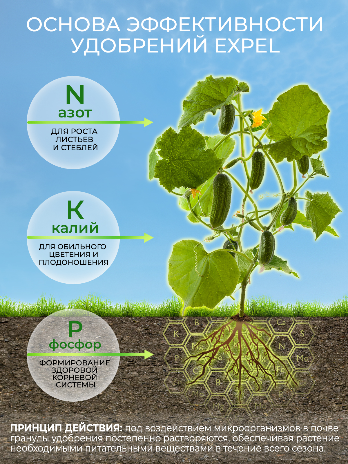 Удобрение для огурцов Expel 12 органик микс NPK 4-2-1 - фото 2