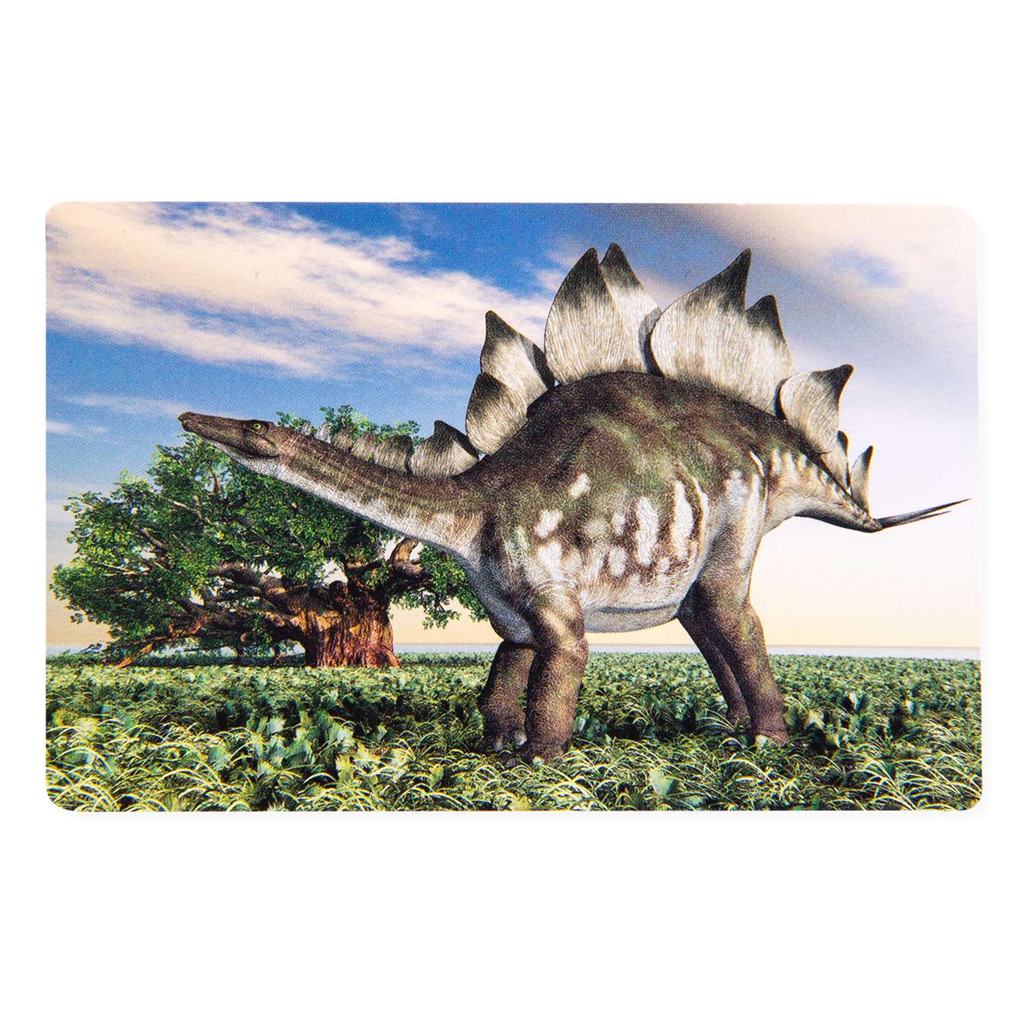 Игра Attivio Мемополия Динозавры 02172 - фото 12