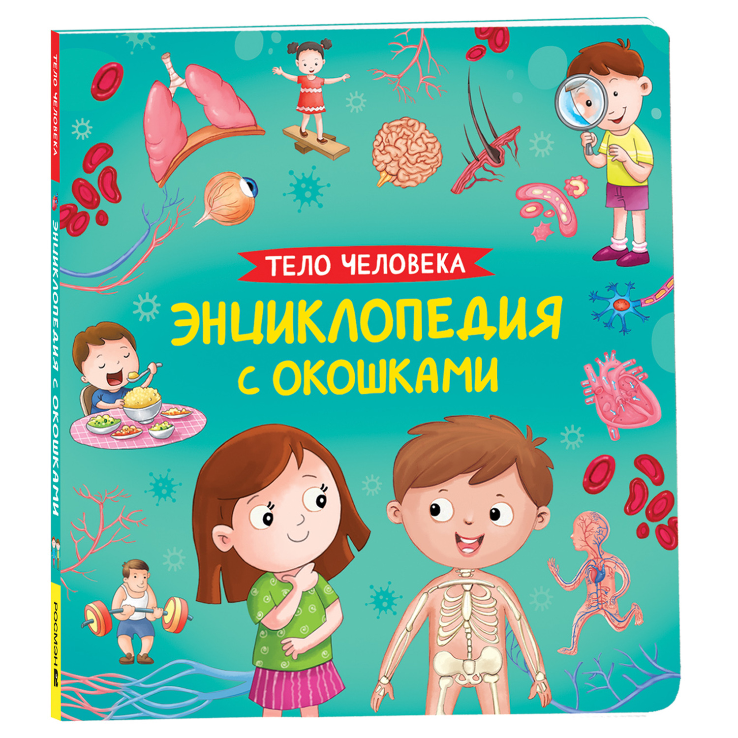 Книга Тело человека Энциклопедия с окошками купить по цене 599 ₽ в  интернет-магазине Детский мир