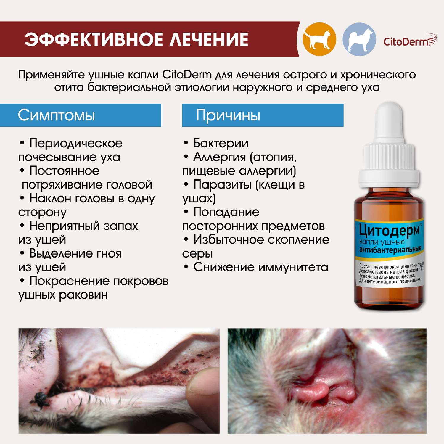 Капли ушные для животных CitoDerm антибактериальные 10мл купить по цене 289  ₽ с доставкой в Москве и России, отзывы, фото