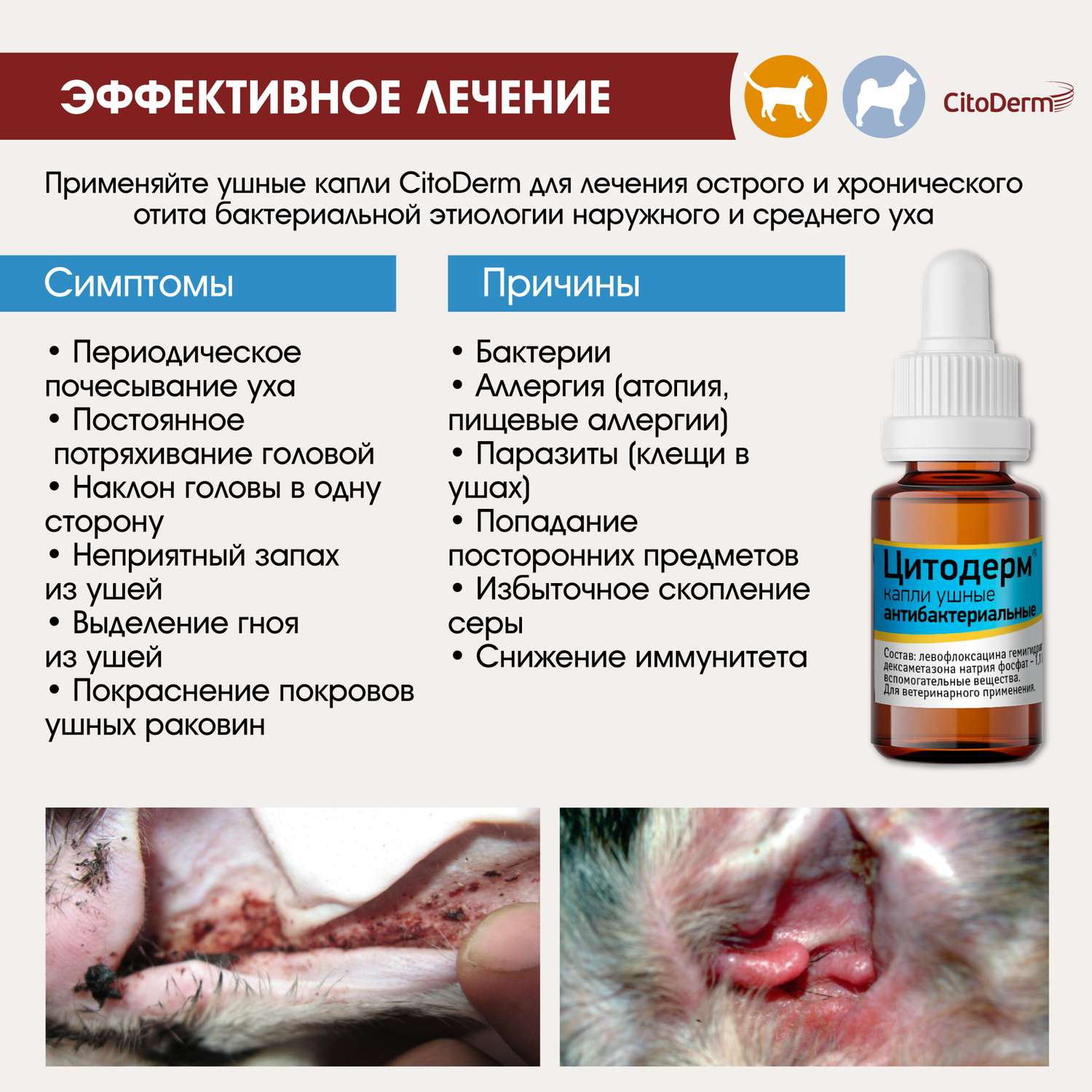 Капли ушные для животных CitoDerm антибактериальные 10мл - фото 4