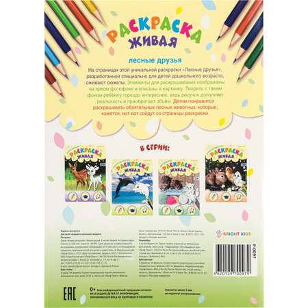 Раскраска А4 Bright Kids ЛЕСНЫЕ ДРУЗЬЯ 8 листов 198х260