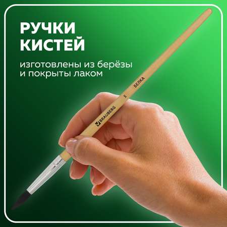 Кисти Brauberg 5 шт блистер