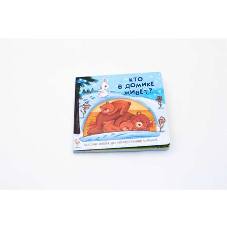 Детские книжки BimBiMon Веселые окошки для любознательных малышей - 2