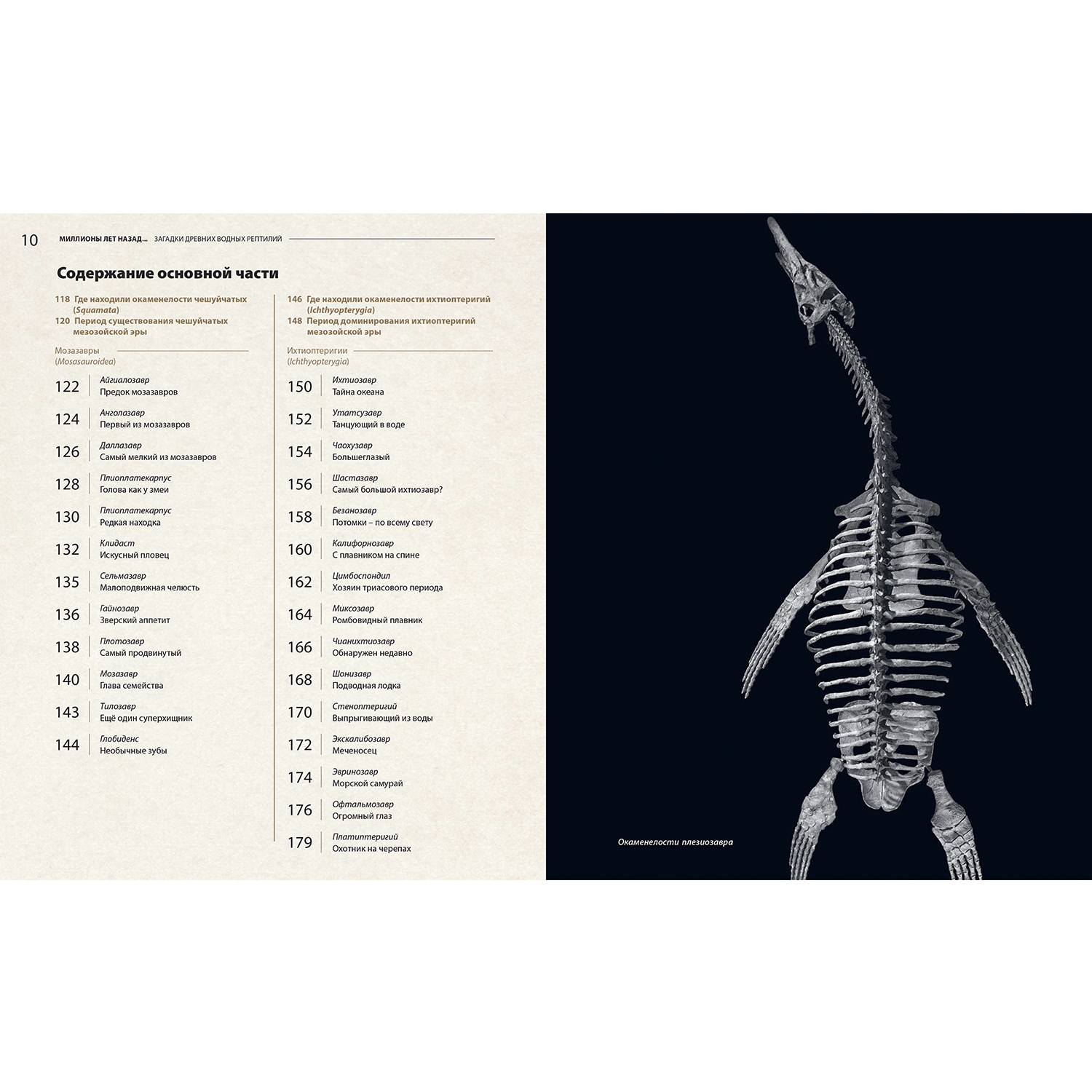Книга Издательство Энас-книга Загадки древних водных рептилий - фото 5